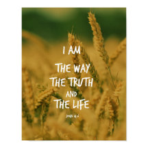 A Verdade a Bíblia da Vida