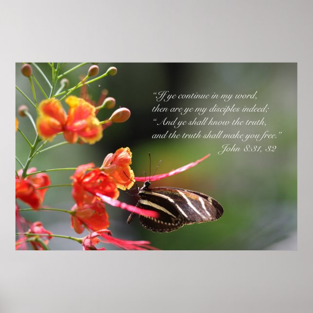 Pôster A Verdade Lhe Libertará Poster, Versão C (Frente)