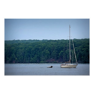 Pôster A vida à vela