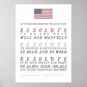 Poster A vida árdua de Theodore Roosevelt