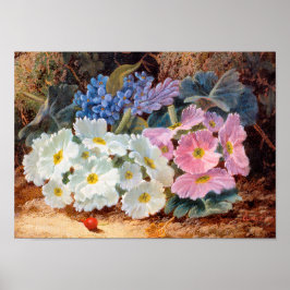 Poster A vida das flores Oliver Clare 1853 - 1927