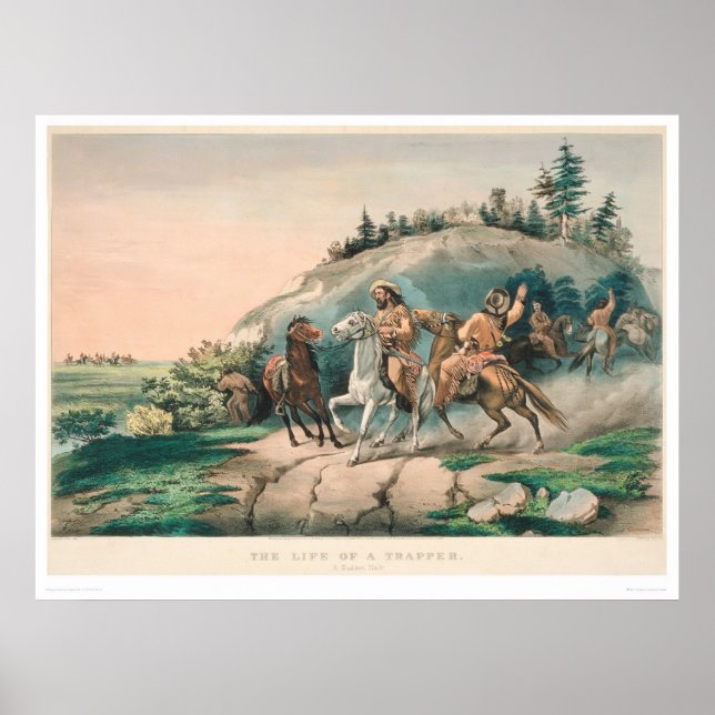 Pôster A vida de uma armadilha: uma parada súbita (0877A) (Frente)