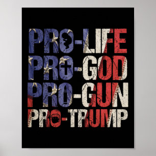 Poster A Vida Deus Arma Trump Usa Reelege Donald Trump 20