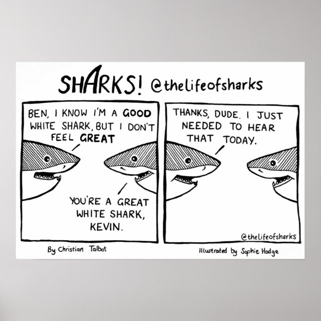 Poster A vida do tubarão Excelente branco (Frente)