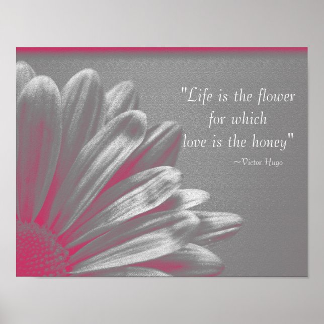 Poster A Vida é a Flor - Margarida Rosa (Frente)