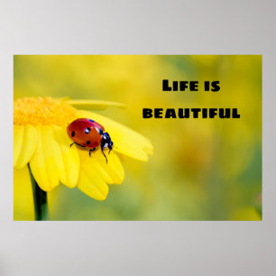 Poster A vida é bela - Ladybug