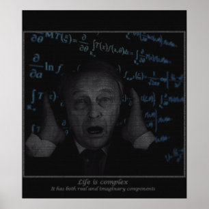 Poster A vida é complexa