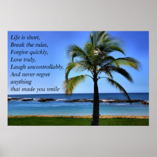 Pôster A vida é curta