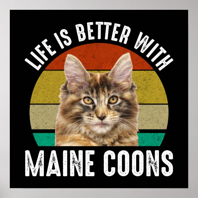 Poster A Vida É Melhor Com O Maine Coons (Frente)