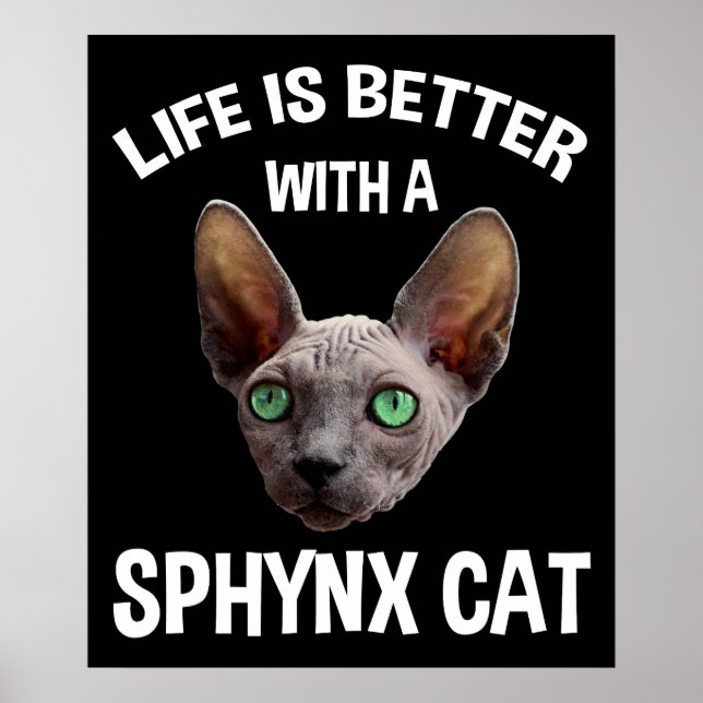 Poster A Vida É Melhor Com Um Gato Esfingx (Frente)