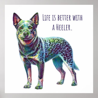Poster A vida é melhor com um Heeler