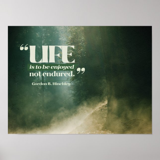 Poster A Vida É Para Ser Desfrutada (Frente)