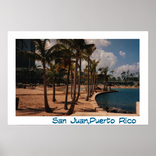 Pôster A vida é uma praia..... (Frente)