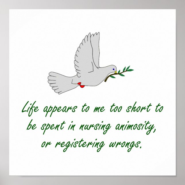 Poster A Vida Me Parece Muito Curta - Citações Perdoativa (Frente)