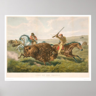 Poster A vida na Pradaria: The Buffalo Hunt (0878A)