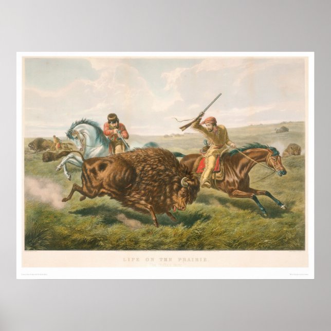 Poster A vida na Pradaria: The Buffalo Hunt (0878A) (Frente)