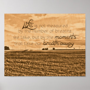 Pôster A vida não é medida