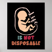 A Vida Pró-Vida Anti-Aborto Não É Descartável