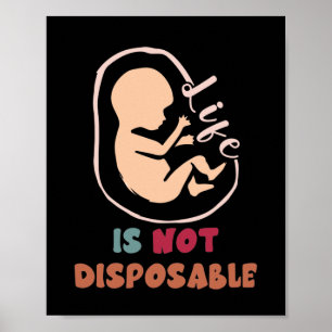 Poster A Vida Pró-Vida Anti-Aborto Não É Descartável