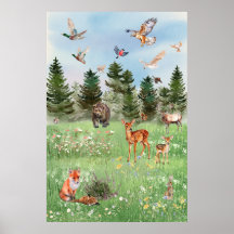 A Vida Selvagem dos Animais da Floresta