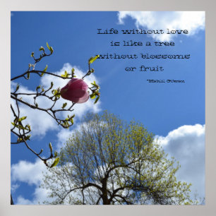 Pôster A vida sem amor é como