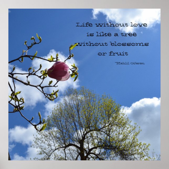 Pôster A vida sem amor é como (Frente)