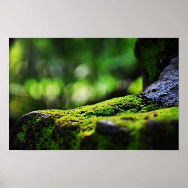 Poster A vida verde (Frente)