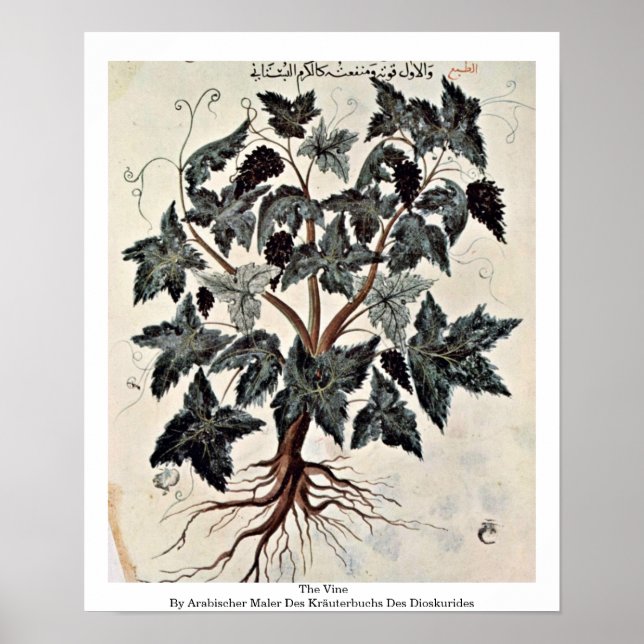 Poster A Vinha (Frente)