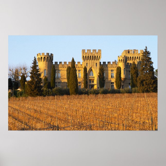 Poster A vinha com cipós e o castelo (Frente)