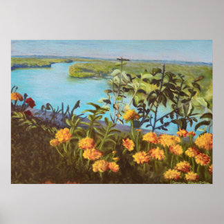 Poster A visão do salto de Lover