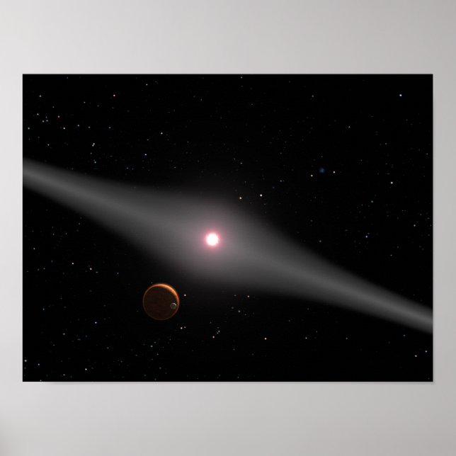 Pôster A vista da vizinhança (Frente)