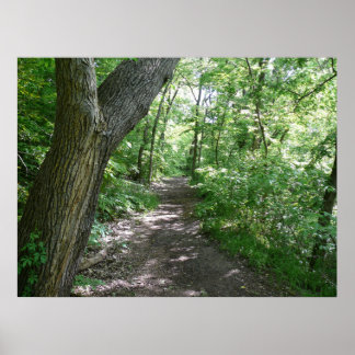 Poster A walk in the woods