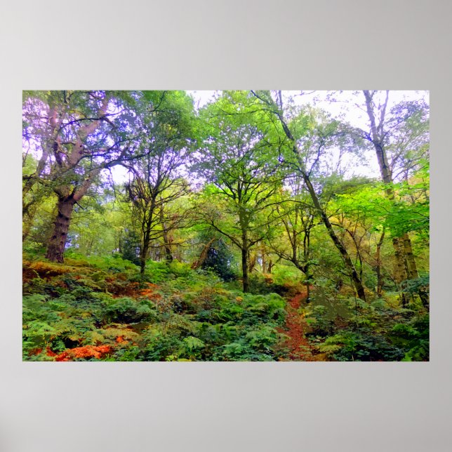 POSTER A WOODLAND WALK (Frente)