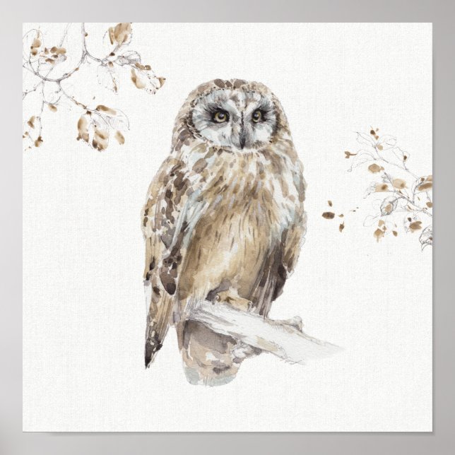 Pôster A Woodland Walk VIII (Frente)