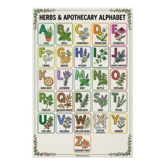 Pôster A - Z Herbs & Apothecary Alphabet