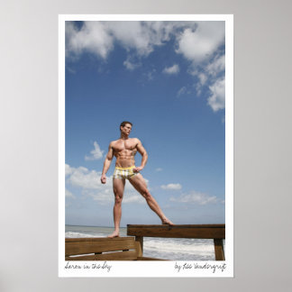 Poster Aaron no Céu por Lee Vandergrift