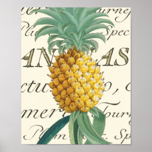 Poster Abacaxi com detalhes caligráficos