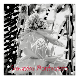 Pôster Abacaxis brancos e Poster brilhante de morango