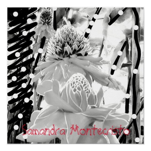 Pôster Abacaxis brancos e Poster brilhante de morango (Frente)