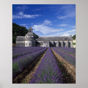 Poster Abadia de Senanque, Gordes, Vaucluse, Provença,
