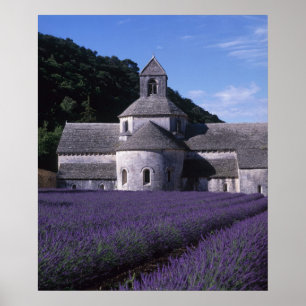 Pôster Abadia de Senanque, Gordes, Vaucluse, Provença, 2