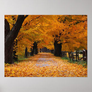 Poster Abaixando o Painel de Memória do outono