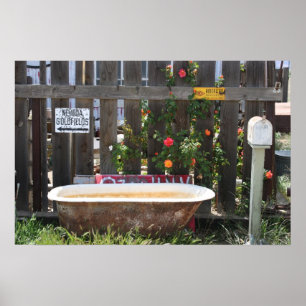 Poster Abandoned Bathtub