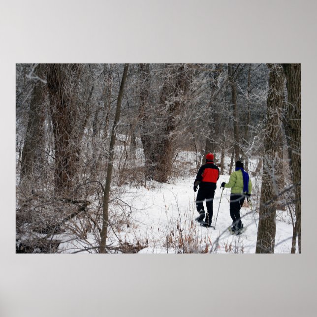 Poster Abate de neve de inverno (Frente)