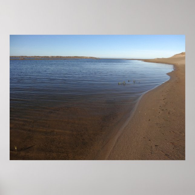 Poster Abbott Lagoa II em Point Reyes National Seashore (Frente)