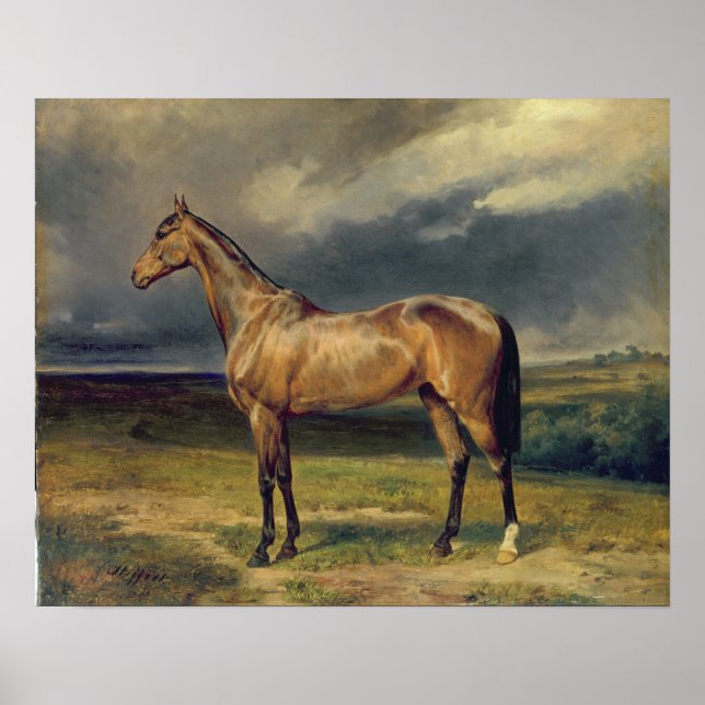 Poster Abdul Medschid, o cavalo de castanha, 1855 (Frente)
