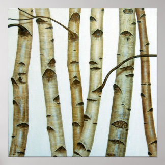 Pôster Abedules Blancos