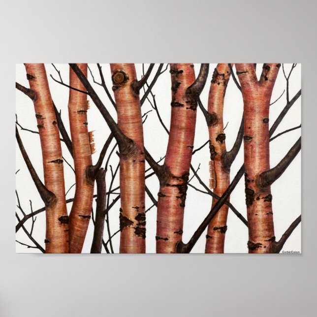 Pôster abedules rojos (Frente)