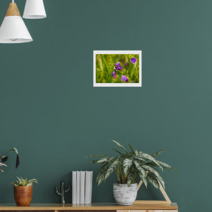 Poster Abeja Melífera em Flor - Fotografia da Natureza e