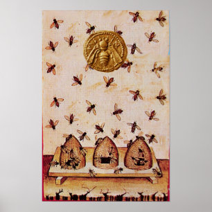 POSTER ABELHA ,APICULTURA,APICULTOR
